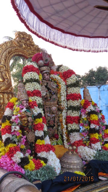 Kanchi Sri Devarajaswami Temple Vanabhojana Utsavam  2015-31