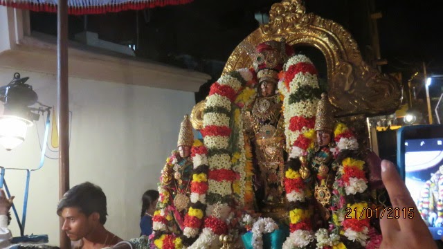 Kanchi Sri Devarajaswami Temple Vanabhojana Utsavam  2015-36