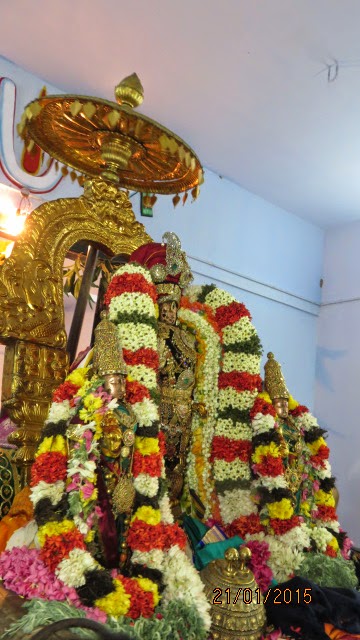 Kanchi Sri Devarajaswami Temple Vanabhojana Utsavam  2015-44