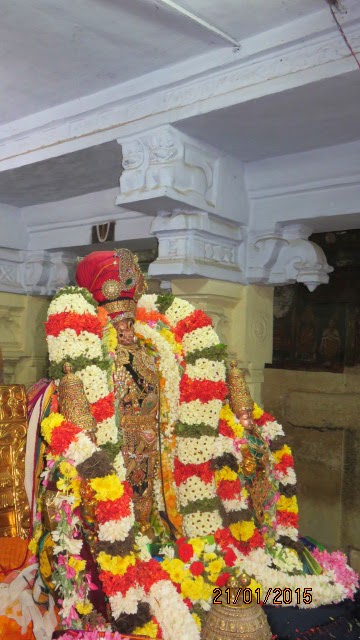 Kanchi Sri Devarajaswami Temple Vanabhojana Utsavam  2015-91