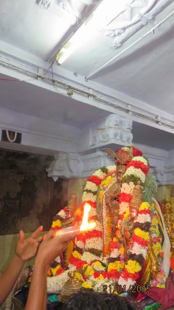 Kanchi Sri Devarajaswami Temple Vanabhojana Utsavam  2015-93