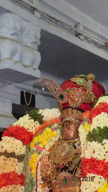 Kanchi Sri Devarajaswami Temple Vanabhojana Utsavam  2015-94