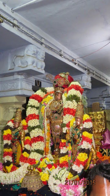 Kanchi Sri Devarajaswami Temple Vanabhojana Utsavam  2015-95