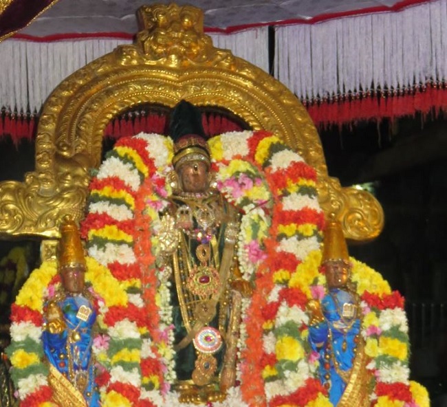 Kanchi Sri Devarajaswami Temple iRappathu UTsavam Day 7   2014-05