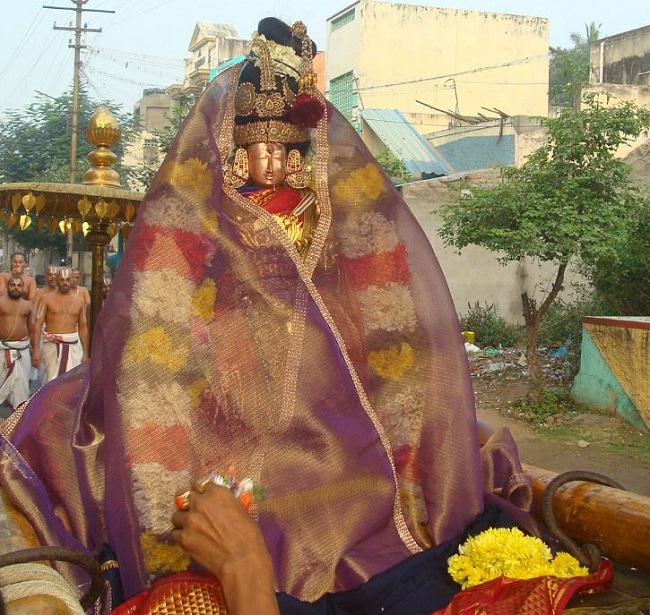 Kanchi Sri Devarajaswami TempleSri Andal Neerattu Utsavam day 5  2014-02