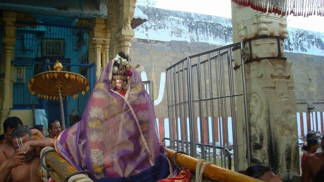 Kanchi Sri Devarajaswami TempleSri Andal Neerattu Utsavam day 5  2014-06