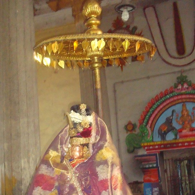 Kanchi Sri Devarajaswami TempleSri Andal Neerattu Utsavam day 5  2014-07