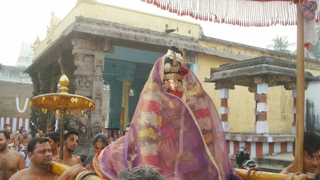 Kanchi Sri Devarajaswami TempleSri Andal Neerattu Utsavam day 5  2014-08