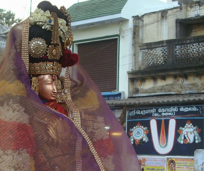 Kanchi Sri Devarajaswami TempleSri Andal Neerattu Utsavam day 5  2014-14