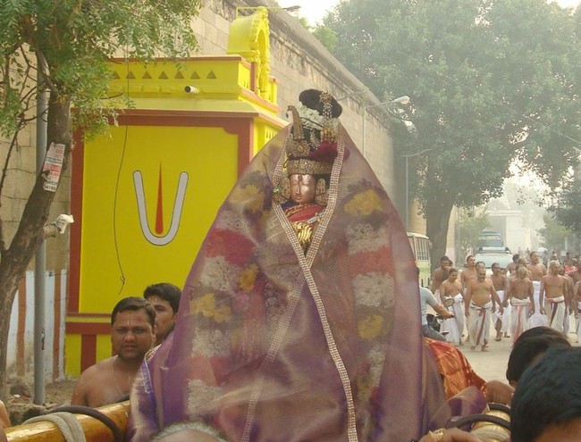 Kanchi Sri Devarajaswami TempleSri Andal Neerattu Utsavam day 5  2014-16