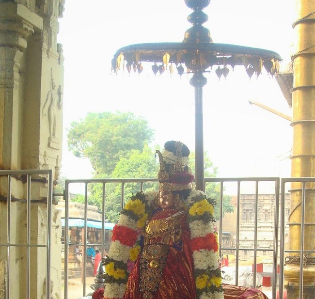 Kanchi Sri Devarajaswami TempleSri Andal Neerattu Utsavam day 5  2014-20
