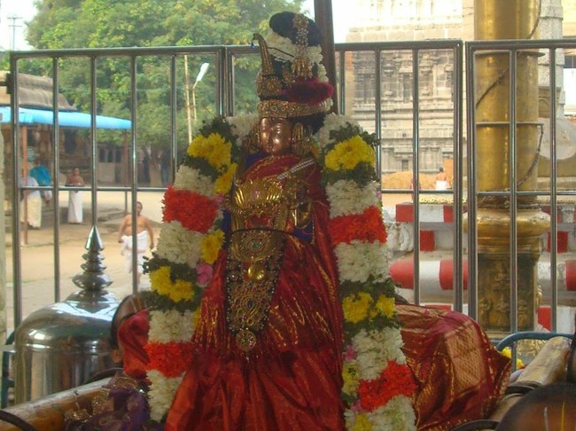 Kanchi Sri Devarajaswami TempleSri Andal Neerattu Utsavam day 5  2014-21