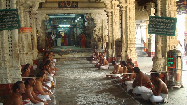 Kanchi Sri Devarajaswami TempleSri Andal Neerattu Utsavam day 5  2014-24
