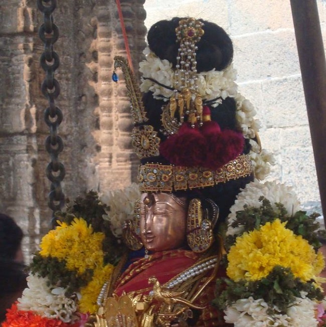 Kanchi Sri Devarajaswami TempleSri Andal Neerattu Utsavam day 5  2014-26
