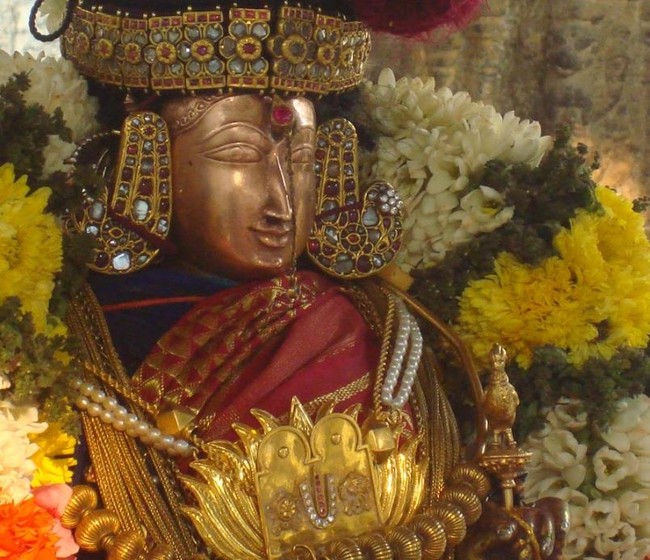 Kanchi Sri Devarajaswami TempleSri Andal Neerattu Utsavam day 5  2014-30