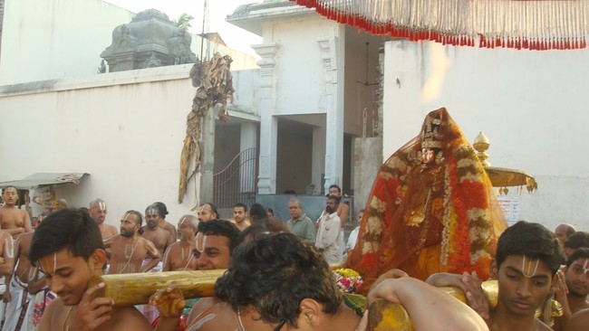Kanchi Sri Devarajaswami TempleSri Andal Neerattu Utsavam day 6  2014-09