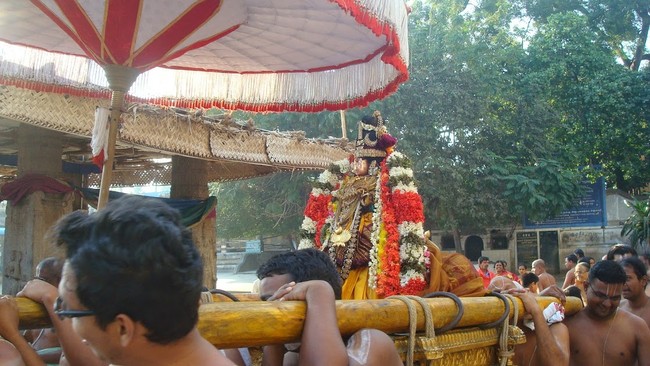 Kanchi Sri Devarajaswami TempleSri Andal Neerattu Utsavam day 6  2014-21