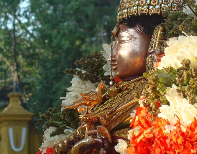 Kanchi Sri Devarajaswami TempleSri Andal Neerattu Utsavam day 6  2014-24