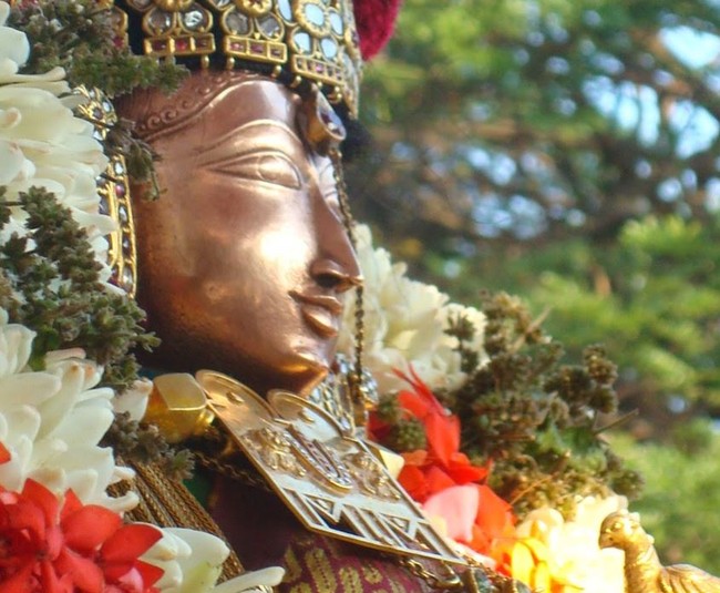 Kanchi Sri Devarajaswami TempleSri Andal Neerattu Utsavam day 6  2014-26