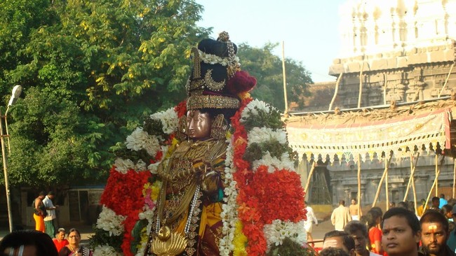 Kanchi Sri Devarajaswami TempleSri Andal Neerattu Utsavam day 6  2014-28