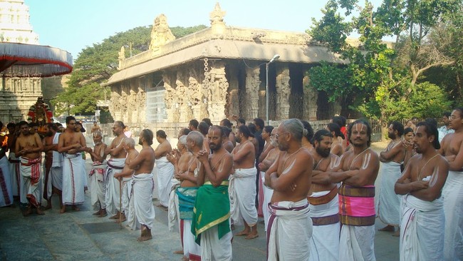 Kanchi Sri Devarajaswami TempleSri Andal Neerattu Utsavam day 6  2014-29