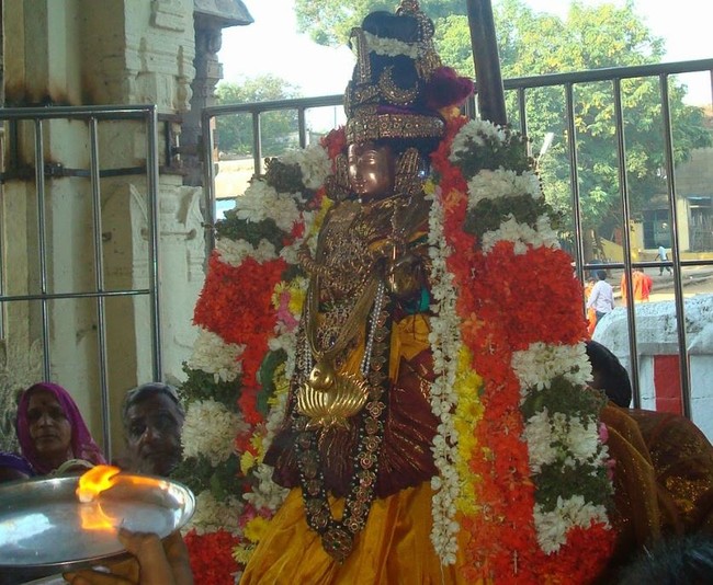 Kanchi Sri Devarajaswami TempleSri Andal Neerattu Utsavam day 6  2014-30