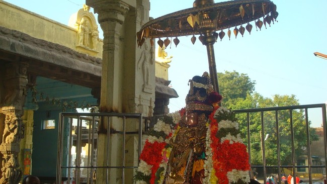 Kanchi Sri Devarajaswami TempleSri Andal Neerattu Utsavam day 6  2014-31