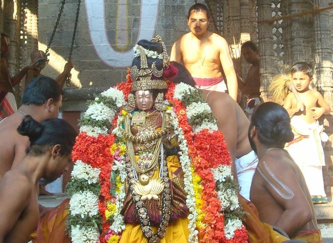 Kanchi Sri Devarajaswami TempleSri Andal Neerattu Utsavam day 6  2014-34