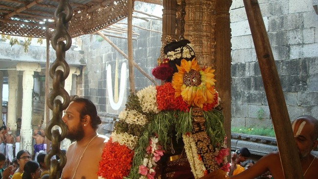 Kanchi Sri Devarajaswami TempleSri Andal Neerattu Utsavam day 6  2014-36