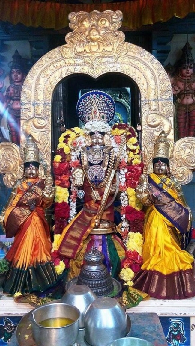 Keelkattalai Sri Srinivasa Perumal Temple Irappathu Utsavam2
