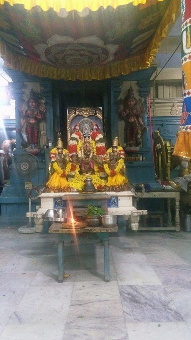 Keelkattalai Sri Srinivasa Perumal Temple Irappathu Utsavam3