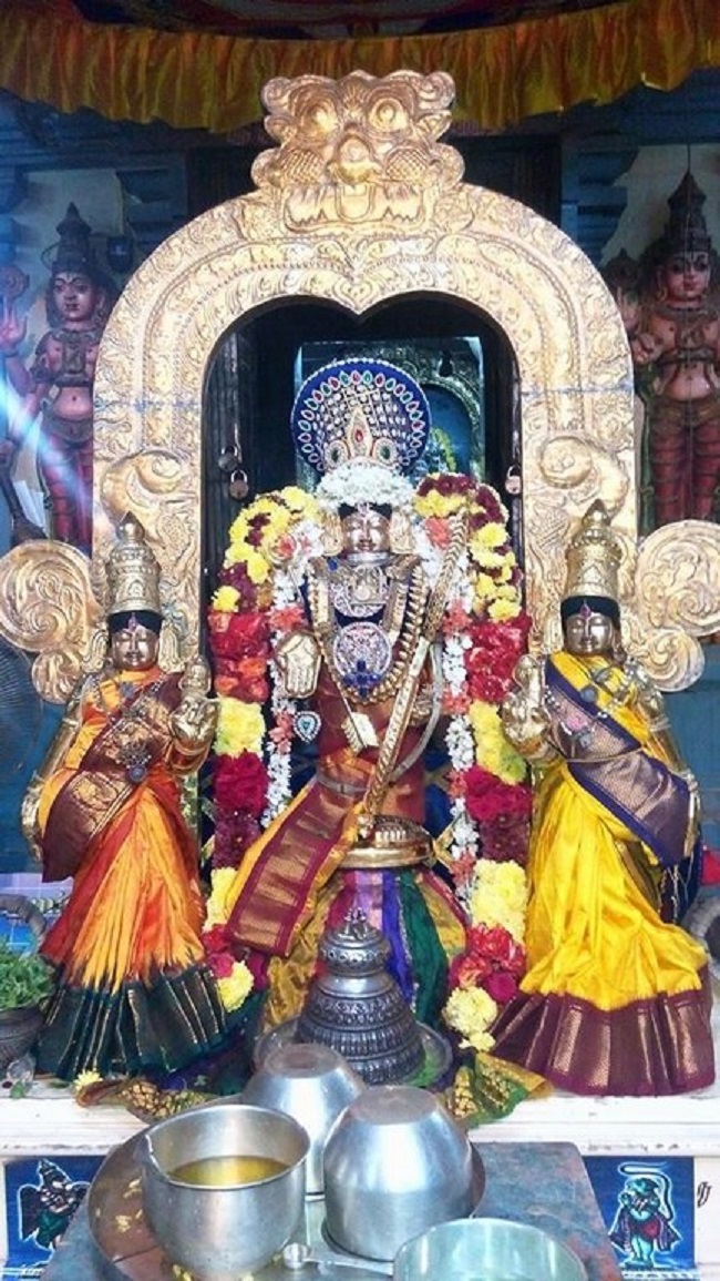 Keelkattalai Sri Srinivasa Perumal Temple Irappathu Utsavam4