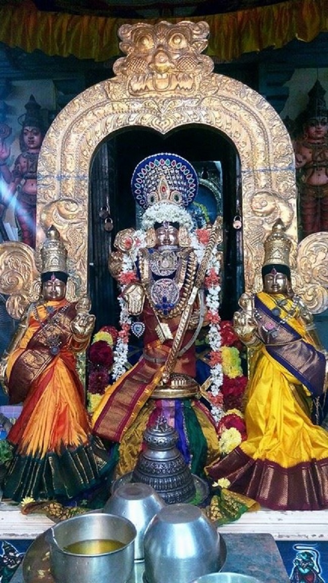 Keelkattalai Sri Srinivasa Perumal Temple Irappathu Utsavam5