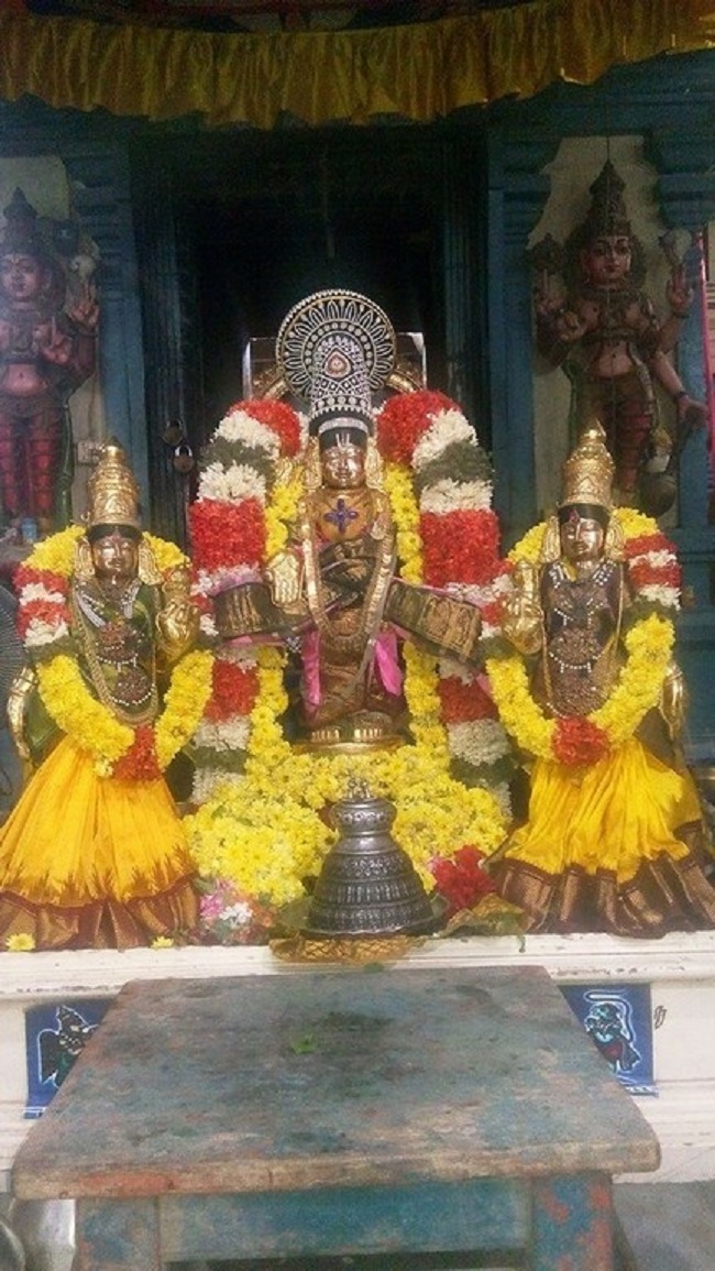 Keelkattalai Sri Srinivasa Perumal Temple Irappathu Utsavam5