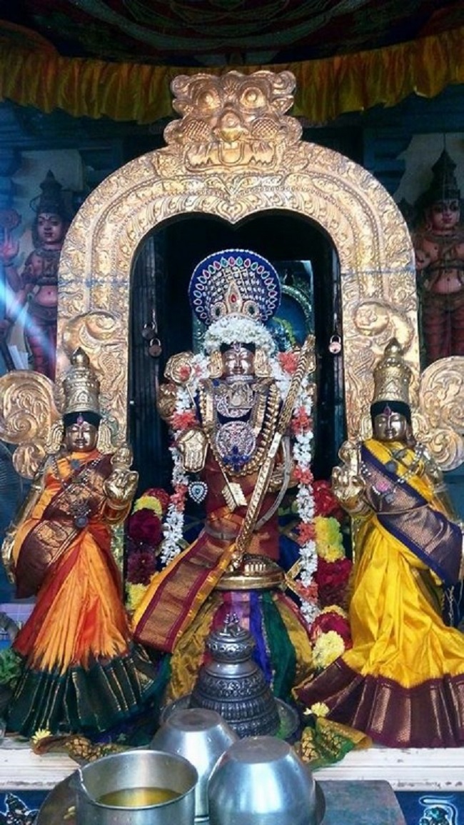 Keelkattalai Sri Srinivasa Perumal Temple Irappathu Utsavam7