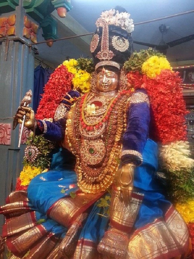 Keelkattalai Sri Srinivasa Perumal Temple Pagal Pathu Satrumurai2