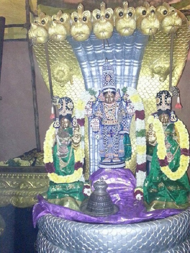 Keelkattalai Sri Srinivasa Perumal Temple Vaikunda Ekadasi Utsavam1