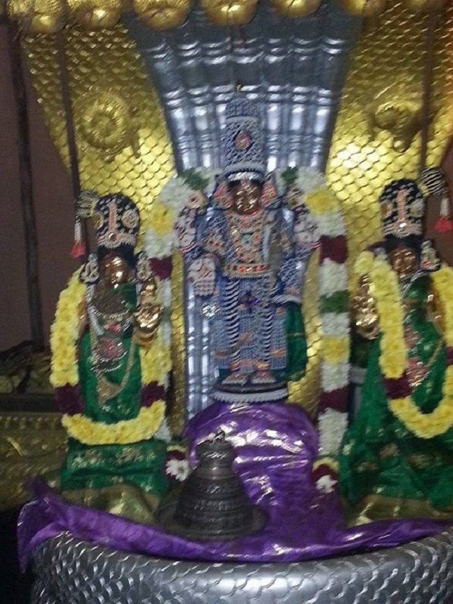 Keelkattalai Sri Srinivasa Perumal Temple Vaikunda Ekadasi Utsavam10