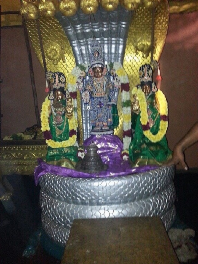 Keelkattalai Sri Srinivasa Perumal Temple Vaikunda Ekadasi Utsavam4