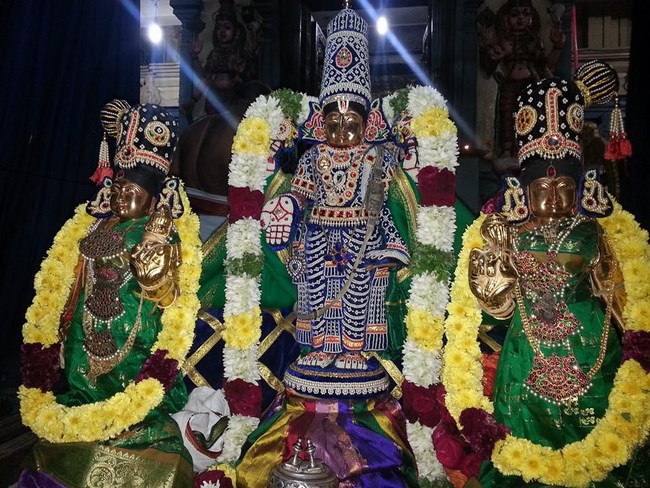Keelkattalai Sri Srinivasa Perumal Temple Vaikunda Ekadasi Utsavam9