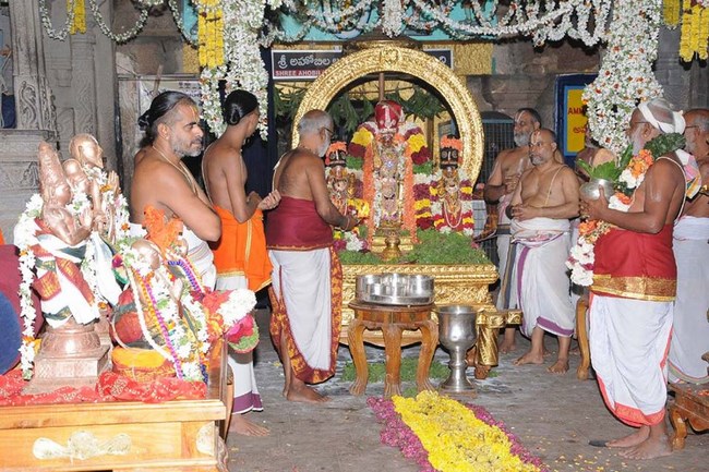 Lower Ahobilam Sri Prahaladavardan Temple Nammazhwar Thiruvadi Thozhal31
