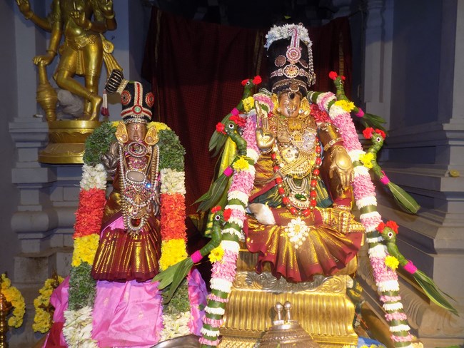 Madipakkam Sri Oppilliappan Pattabhisheka Ramar Temple Pagal Pathu Utsavam10