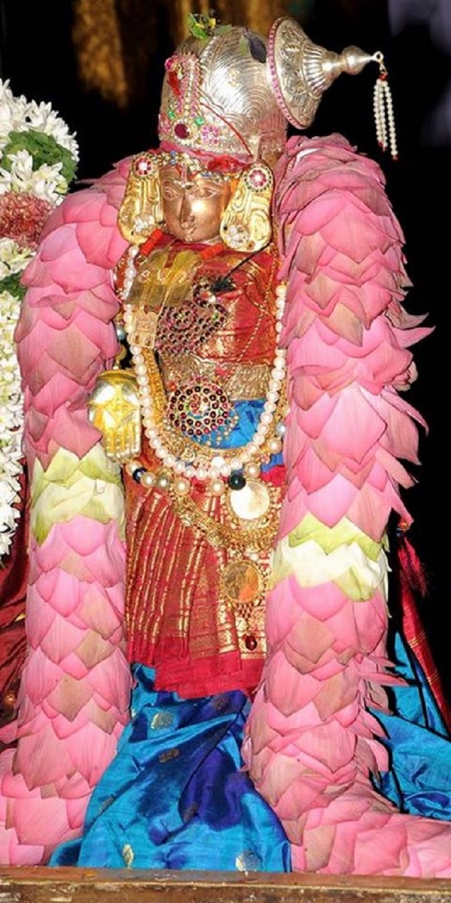Margazhi Swathi Sudarsana Homam At Lower Ahobilam Sri Prahaladavardan Temple20