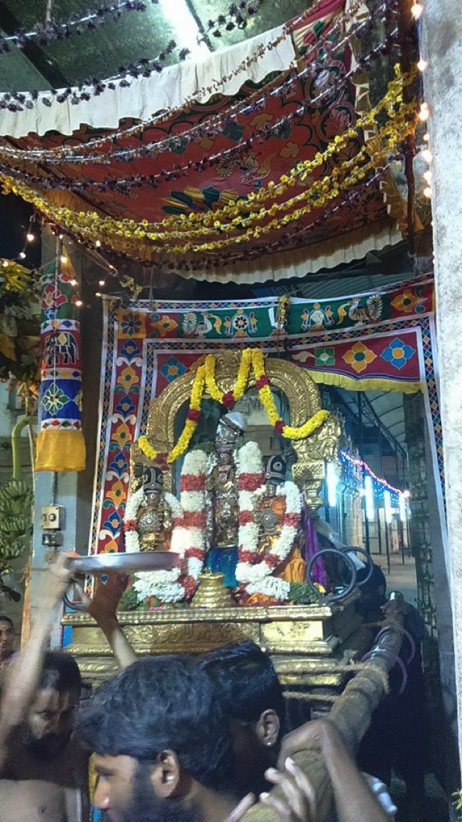 Mylai Sri Adhikesava Perumal Temple Irappathu  Utsavam day 8 -2014-03