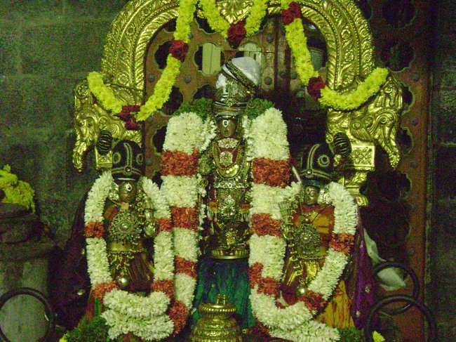 Mylai Sri Adhikesava Perumal Temple Irappathu  Utsavam day 8 -2014-06