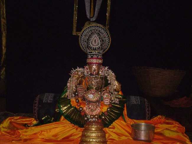 Mylapore SVDD Sri Alamelumanga Thayar Thai Velli Purappadu1