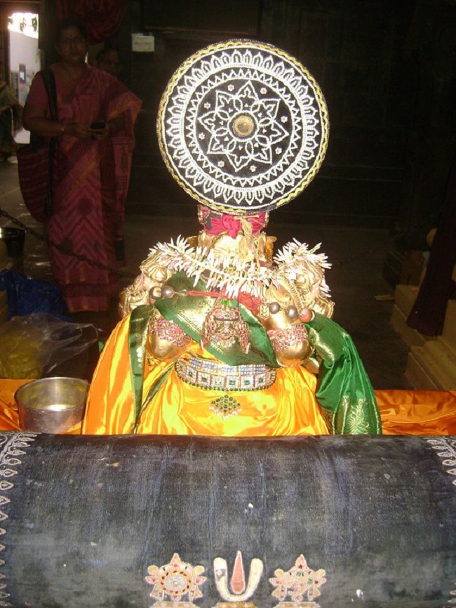 Mylapore SVDD Sri Alamelumanga Thayar Thai Velli Purappadu2