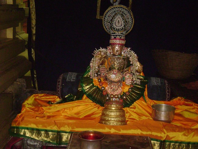 Mylapore SVDD Sri Alamelumanga Thayar Thai Velli Purappadu3