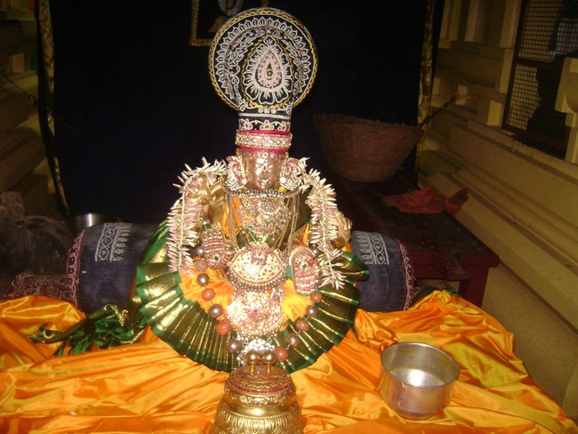 Mylapore SVDD Sri Alamelumanga Thayar Thai Velli Purappadu4