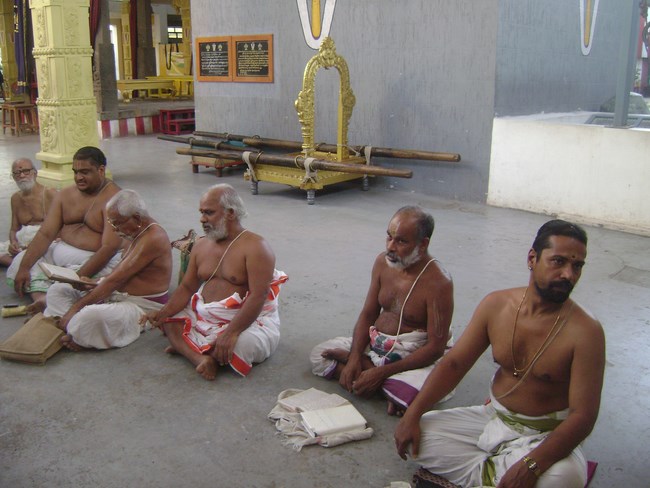 Mylapore SVDD Srinivasa Perumal Temple Irappathu Utsavam3